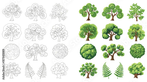 Variety of tree illustrations including green foliage versions and black and white line art sketches showing different species and shapes.