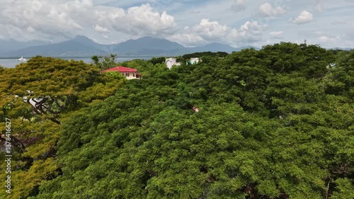 Scenic aerial view of coastal village in Palawan, Philippines, with mountains, sea, and lush acacia trees under cloudy sky.
