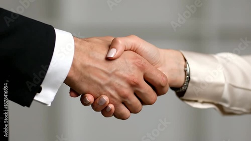 Business Partners Shaking Hands in Office.