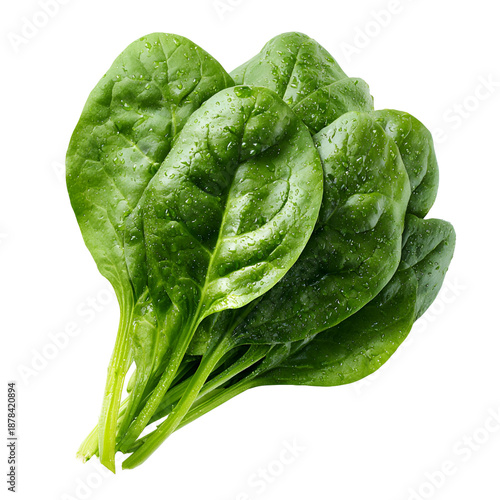 Fresh spinach leaves isolated on transparent background