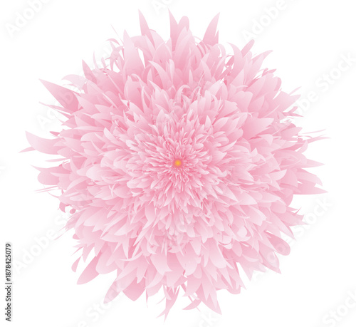 Soft Pink Abstract Floral Burst with Radial Petals on White Background