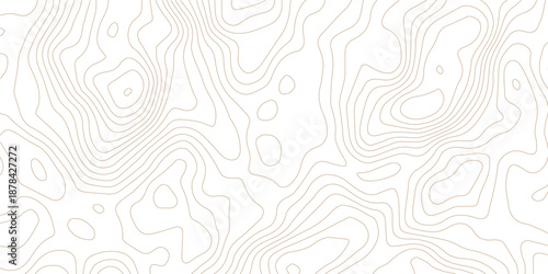 Topography background. Vector banner. Topography map background. Vector geographic contour map. Background of the topographic map. Topographic map lines, contour background.