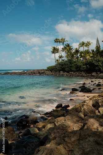 Hawaii beach vacation oahu