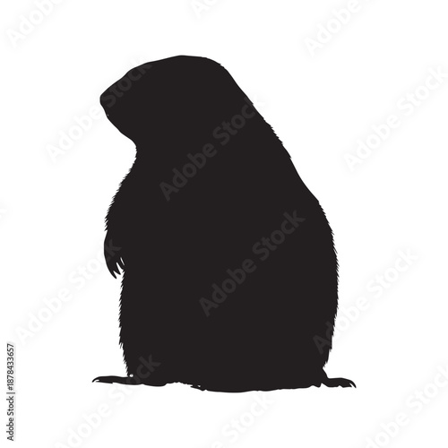 Marmot silhouette standing in snowy landscape with bright white background