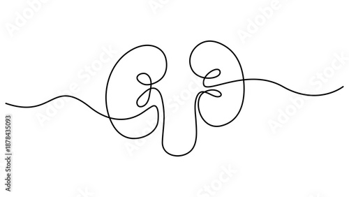 Human kidney continuous one line drawing and minimalist style isolated. Human Kidney Icon Continuous One Line Minimalist Art Outline Vector Illustration. Editable stroke 