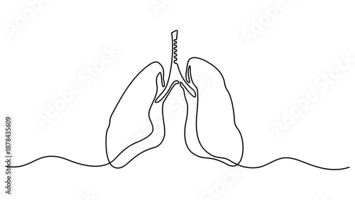 Continuous one line drawing of lungs medical anatomical organ isolated on white background. Continuous one line editable stroke of human lungs. Single line art style lungs vector illustration