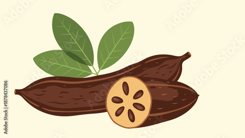 Detailed botanical illustration of carob pods with a cross-section showing seeds and green leaves, presented in a natural and clean style.