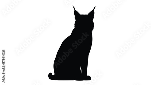 A striking black cat shape against a white backdrop silhouette