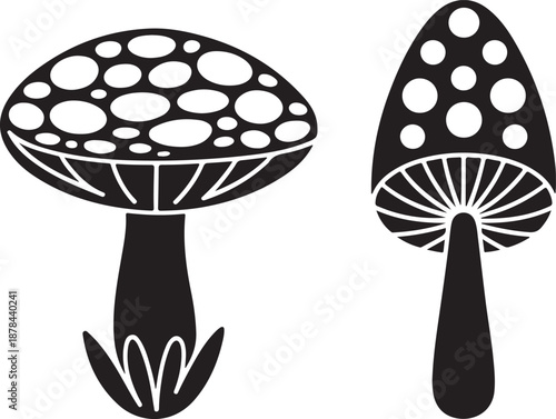 black and white illustration of two mushrooms with spots on caps