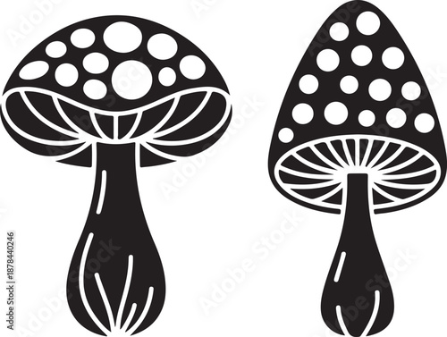 black and white illustration of two mushrooms with spots on caps