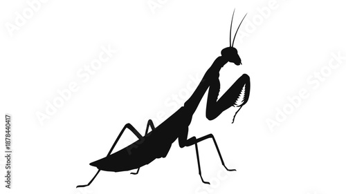A striking black silhouette of a praying mantis in a dynamic pose silhouette