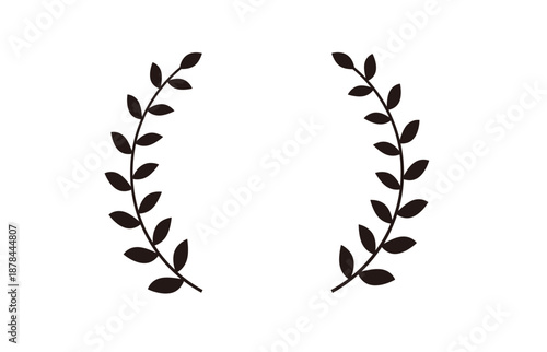 月桂樹　植物　フレーム