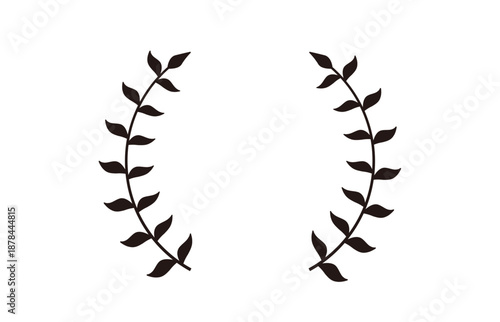 月桂樹　植物　フレーム