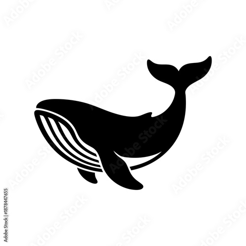 Whale silhouette vector illustration isolated on white backgro
