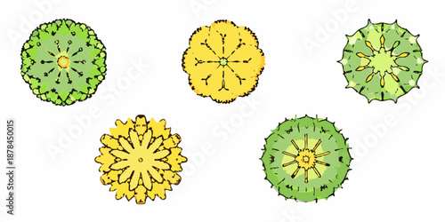 A collection of five stylized circular tree illustrations in green and yellow