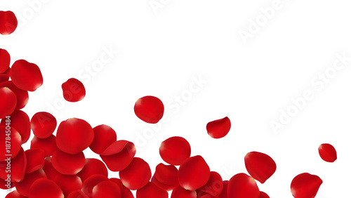 Red rose leaf isolated on transparent background