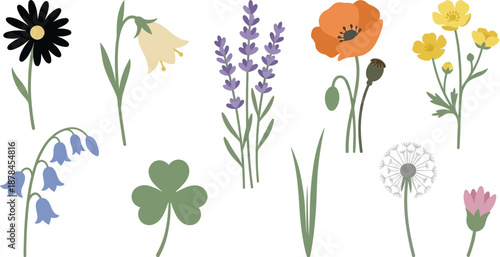 Minimalist spring wildflowers flat vector pack with daisy bell bloom lavender sprigs wild poppy buttercups bluebells three-leaf clover meadow grass dandelion puffball and wildflower bud isolated