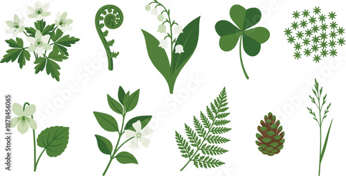 Delicate woodland spring floor botanicals flat vector pack with wood anemones fern fiddlehead lily of the valley oxalis leaf moss stars wild violet periwinkle lace leaf pinecone bud forest grass