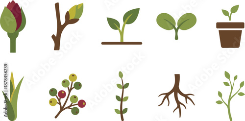 Botanical growth new life icons flat vector pack with closed flower bud leaf bud sprout breaking soil cotyledon leaves seedling pot green shoot emerging berries stem leaf nodes root structure