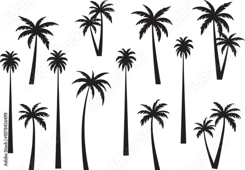  palm trees silhouette, palm tree silhouettes, palm trees silhouettes, palm, tree, beach, nature, summer, vector, silhouette, island, sun, illustration, leaf, palm tree, palmtree, leaves, design, plan