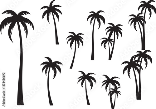  palm trees silhouette, palm tree silhouettes, palm trees silhouettes, palm, tree, beach, nature, summer, vector, silhouette, island, sun, illustration, leaf, palm tree, palmtree, leaves, design, plan