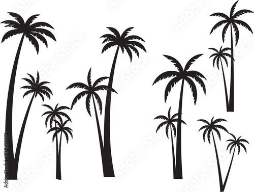 palm trees silhouette, palm tree silhouettes, palm trees silhouettes, palm, tree, beach, nature, summer, vector, silhouette, island, sun, illustration, leaf, palm tree, palmtree, leaves, design, plan