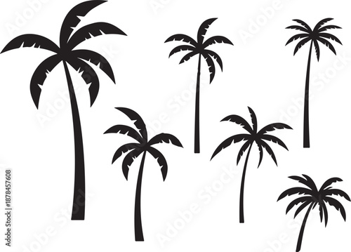  palm trees silhouette, palm tree silhouettes, palm trees silhouettes, palm, tree, beach, nature, summer, vector, silhouette, island, sun, illustration, leaf, palm tree, palmtree, leaves, design, plan