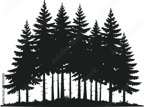Dense forest of dark pine trees silhouette vector illustration with grassy ground