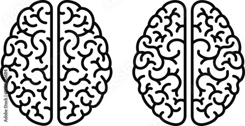 Comparative Brain Illustrations Showing Differences in Neural Complexity, Hemisphere Structure, and Cognitive Design for Educational and Scientific Visualization Purposes