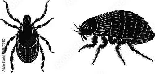 Insect silhouette illustration showing tick and flea detailed black and white pest icons scientific biology flat vector design