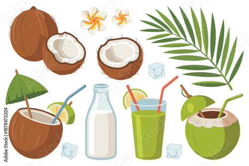Coconut isolated cartoon set icon. Vector illustration coco on white background. Vector cartoon set icon coconut.