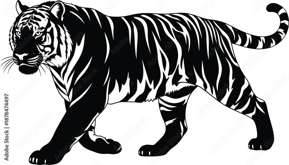 custom made wallpaper toronto digitalBlack tiger walking isolated on transparent background