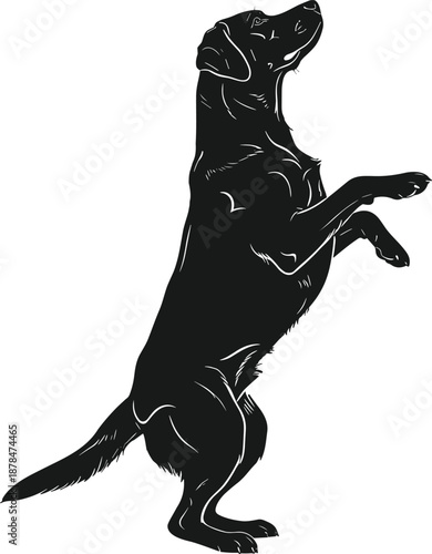 Standing dog silhouette illustration showing playful trained pet pose animal behavior concept vector isolated black canine design modern art style