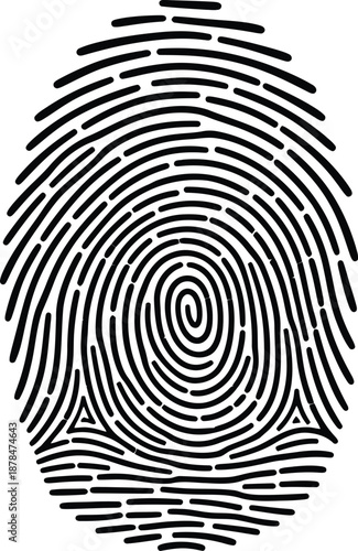 Fingerprint pattern with concentric circles and radiating lines