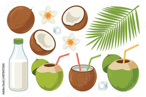 Coconut isolated cartoon set icon. Vector illustration coco on white background. Vector cartoon set icon coconut.