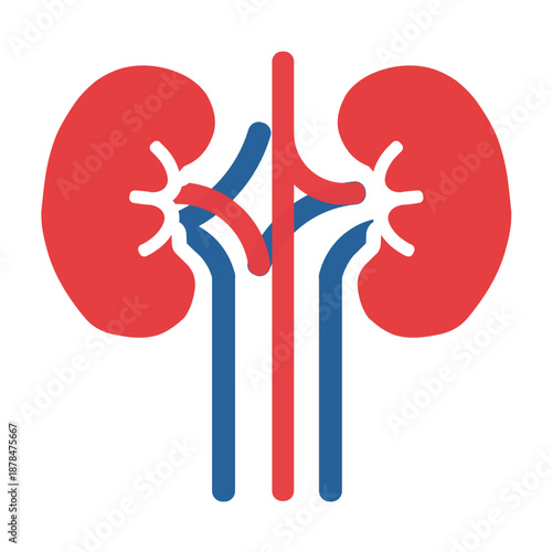 Human kidneys urology system icon, Renal organ anatomy medical symbol, human kidneys urology system icon