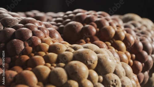 Close-up of a concretion stone formation with layered texture