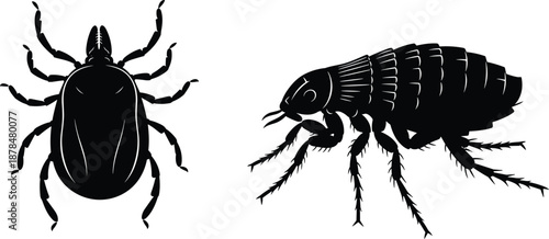 Tick and flea silhouettes isolated black and white parasite insects detailed pest control biology medical flat vector illustration design