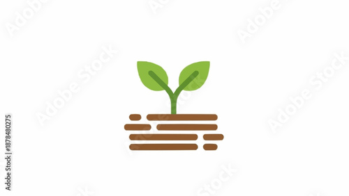 Small green plant growing in soil.