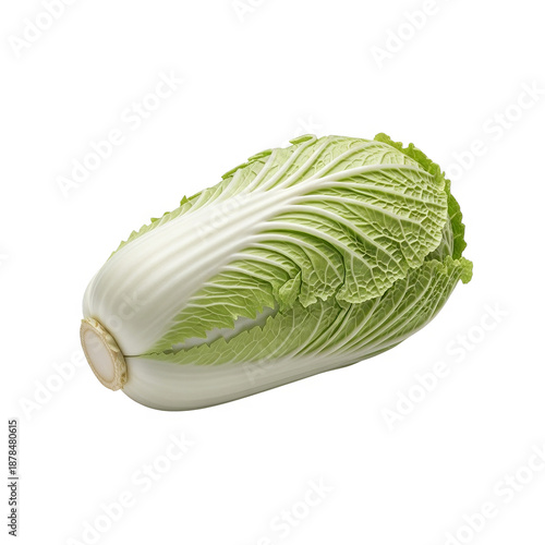 Fresh Napa Cabbage Isolated on White Background Generative AI