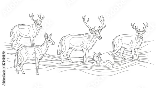 Five deer standing and sitting on grassy hill with antlers line drawing illustration