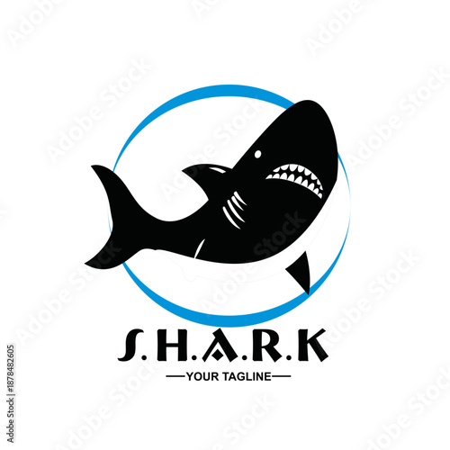 SHARK 1.eps