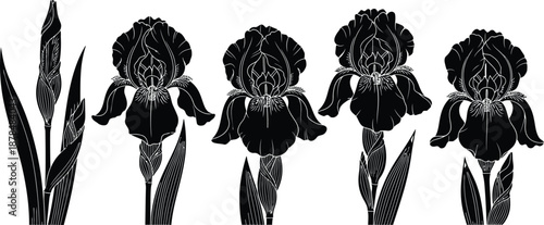 St david's day flowers leek and daffodils celebrating welsh heritage