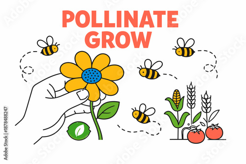 Pollinate and grow: bees, flowers, and crops in colorful illustration