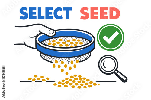 Seed selection process: hand sifting and inspection with magnifying glass and checkmark