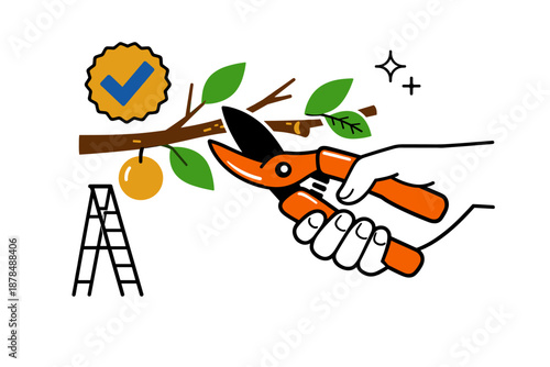 Pruning tools showing ladder and certified tree branch with fruit