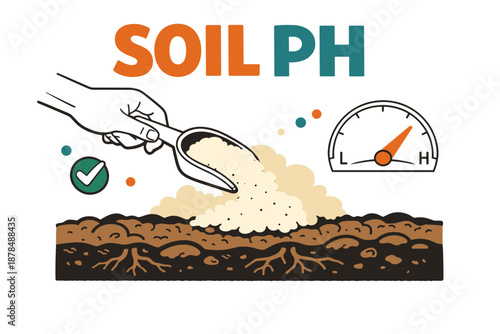 Understanding soil ph: nutrient levels and plant health