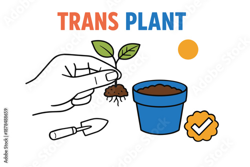 Illustration of transplanting a seedling with pot and gardening tools