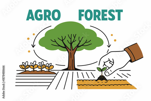 Agroforestry concept illustration with tree, plants, and hand planting seedling