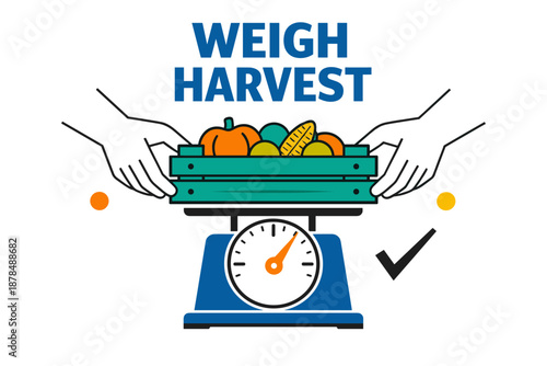 Weighing fresh harvest: hands holding produce on scale